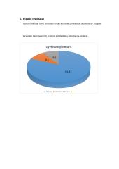 Kylančios etinės problemos biudžetinėse įstaigose 4 puslapis