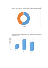 Kylančios etinės problemos biudžetinėse įstaigose 6 puslapis