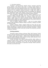 Reklamos priemonės ir priemonių efektyvumas 2 puslapis