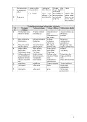 Reklamos priemonės ir priemonių efektyvumas 4 puslapis