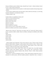 Reklamos vadyba 3 puslapis