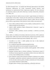 Idealaus biurokratinio valdymo teorija (referatas) 3 puslapis