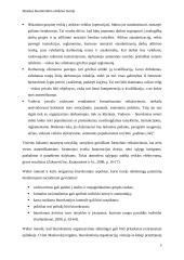 Idealaus biurokratinio valdymo teorija (referatas) 5 puslapis