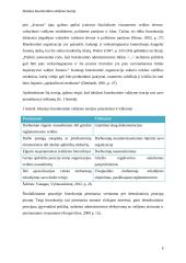 Idealaus biurokratinio valdymo teorija (referatas) 6 puslapis