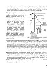 Fermentinės katalizės kinetikos tyrimas (laboratorinis darbas) 4 puslapis