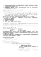 Religijos fenomenologija 15 puslapis