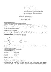Religijos fenomenologija 16 puslapis