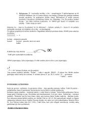 Religijos fenomenologija 20 puslapis