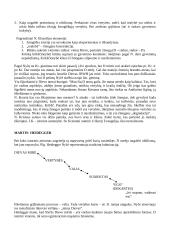 Religijos fenomenologija 9 puslapis