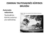 Tradicinis folkloras 14 puslapis