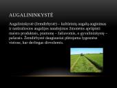 Žemės ūkio šakos 2 puslapis