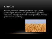 Žemės ūkio šakos 4 puslapis