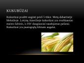 Žemės ūkio šakos 5 puslapis