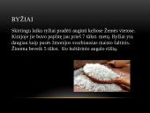 Žemės ūkio šakos 6 puslapis