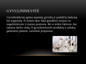 Žemės ūkio šakos 7 puslapis