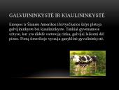 Žemės ūkio šakos 8 puslapis