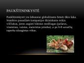 Žemės ūkio šakos 9 puslapis