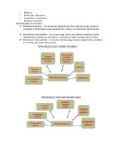 Rinkodara ir prekių pardavimas 5 puslapis