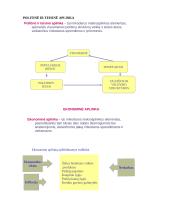 Rinkodara ir prekių pardavimas 6 puslapis