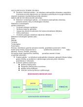 Rinkodara ir prekių pardavimas 7 puslapis