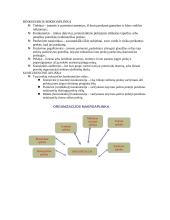 Rinkodara ir prekių pardavimas 8 puslapis