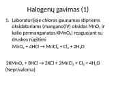 Halogenai (skaidrės) 12 puslapis