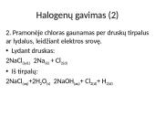 Halogenai (skaidrės) 13 puslapis