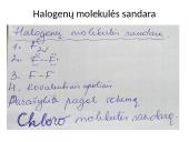 Halogenai (skaidrės) 6 puslapis