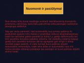 Korupcija techninės apžiūros centruose 10 puslapis