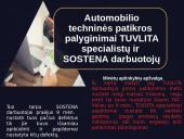 Korupcija techninės apžiūros centruose 6 puslapis