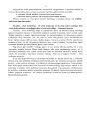Rinkodaros (marketingo) samprata 13 puslapis