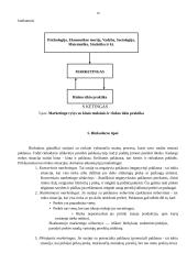 Rinkodaros (marketingo) samprata 15 puslapis