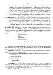 Rinkodaros (marketingo) samprata 17 puslapis