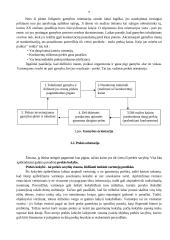 Rinkodaros (marketingo) samprata 8 puslapis