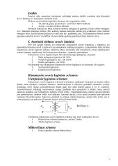 Ryšio įrangos maitinimas 3 puslapis