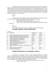 Ryšio įrangos maitinimas 7 puslapis