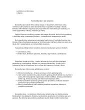 Ryšių su visuomene procesas 2 puslapis