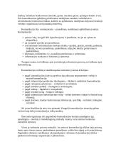 Ryšių su visuomene procesas 3 puslapis