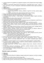 Rombinės smegenys 2 puslapis