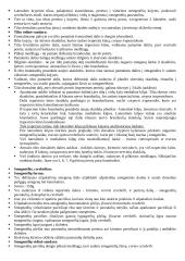 Rombinės smegenys 3 puslapis