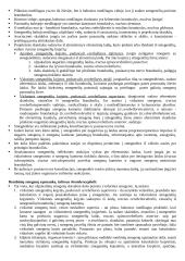 Rombinės smegenys 4 puslapis