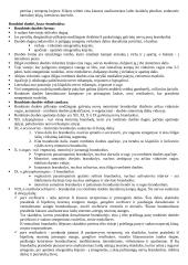 Rombinės smegenys 5 puslapis