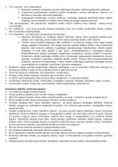 Rombinės smegenys 6 puslapis