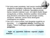 Sotieji angliavandeniliai. Alkanai 2 puslapis