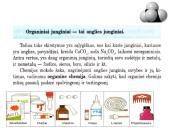 Sotieji angliavandeniliai. Alkanai 3 puslapis