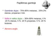 Sotieji angliavandeniliai. Alkanai 6 puslapis