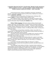 Romėnų literatūros kurso klausimai 3 puslapis