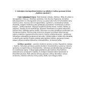 Romėnų literatūros kurso klausimai 5 puslapis