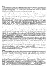 Sandoriai ir sutartys 5 puslapis