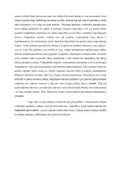 Filmo "Išvarymas 2" scenos analizė 2 puslapis